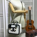 Luxury Chanel Calfskin Leather Mini Shoulder Bag 6070 White HY1326UV86