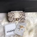 Luxury Chanel Mini Flap Bag Python & Gold-Tone Metal A69900 grey HY14519Lv15