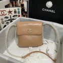 Luxury Chanel small hobo bag AS2503 Cream HY26098bE46