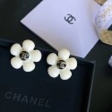 Replica AAA Chanel Earrings CE6810 HY13970of41