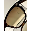 Replica AAA Chanel Sunglasses Top Quality CHS02038 HY25650of41
