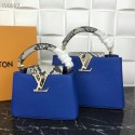Replica Louis Vuitton CAPUCINES MINI M99676 blue HY22326sA83