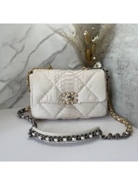 CHANEL 19 Flap Bag Original Snake skin flap bag AS1160 Cream HY20728Ty85