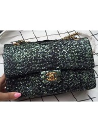 Chanel 2.55 Series Flap Bags Green Original Python Leather A1112SA Gold HY6485TV86