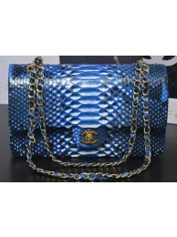 Chanel 2.55 Series Flap Bags Light Blue Original Python Leather A1112SA Gold HY20506VF54