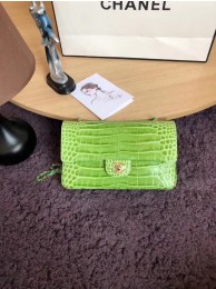 Chanel Classic Flap Bag Original Alligator & Gold-Tone Metal A01112 Green grass HY16597np57