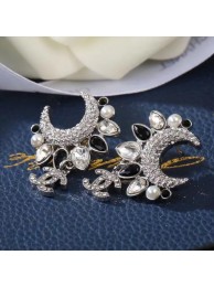 Chanel Earrings CE7484 HY2108ta99
