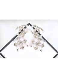 Chanel Earrings CE8034 HY2640hc46