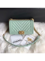 Chanel Leboy Original Caviar leather Shoulder Bag A67086 Light green gold chain HY20967wv88