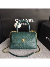 Chanel Original Python Leather Tote Bag 8119D HY25436NP24