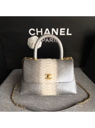 Chanel Original Python Leather Tote Bag 8119F HY13999uZ84