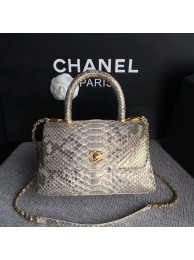 Chanel Original Python Leather Tote Bag 8119G HY7501Qu69