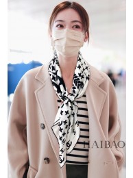 Chanel Scarf CHS00034 HY12115sf78