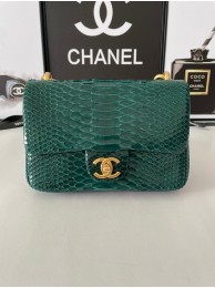 Chanel SMALL FLAP BAG Snakeskin & Gold-Tone Metal AS3214 green HY3774fj51