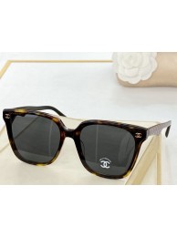 Chanel Sunglasses Top Quality CHS00277 HY4607Is53