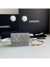 Chanel WOC Belt Bag Original Caviar Leather 2306 Gray HY9121vm49
