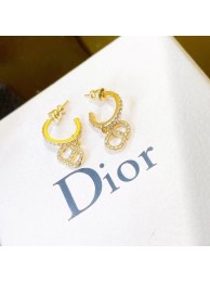 Dior Earrings CE7464 HY9203vN22
