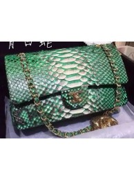 Fake Chanel 2.55 Series Flap Bags Deep Green Original Python Leather A1112SA Gold HY4031RY48