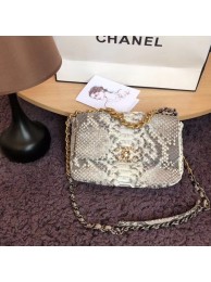 Fake Cheap CHANEL 19 Flap Bag Original Snake skin flap bag AS1160 grey HY5455Kt89