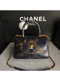 Fashion Chanel Original Python Leather Tote Bag 8119J HY22987wc24