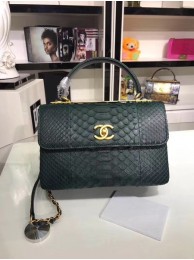 First-class Quality Chanel Original Snake skin Leather Tote Bag A92236 Blackish green HY20833Sf41