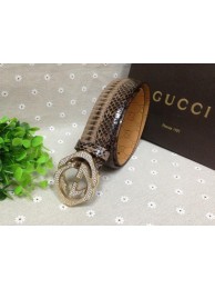 GUCCI New Belt GI1395C HY25985sf78