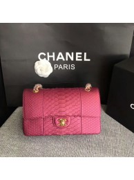 Imitation Chanel Original Python Leather Shoulder Bag CF1112B HY23050Nj42