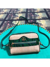 Imitation High Quality Gucci Ophidia mini bag 517350 green HY11738HH94