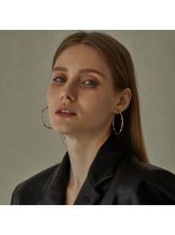 Knockoff Gucci Earrings CE8569 HY23442fY84