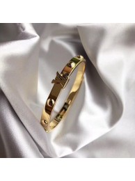 Louis Vuitton Bracelet LV8695 HY21502gN72