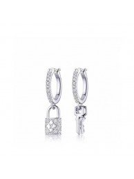 Louis Vuitton Earrings CE5581 HY22508Pu45