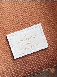Louis Vuitton ELLIPSE BB M20752 WHITE HY2534Zf62