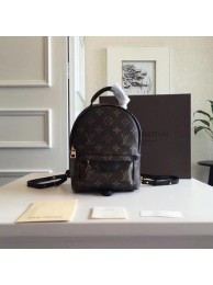 Louis Vuitton Monogram Canvas PALM SPRINGS BACKPACK MINI M41562 HY17141TP23