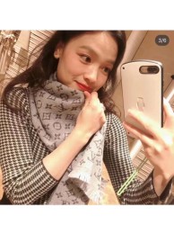 Louis Vuitton Scarf LV00032 Scarf HY6648vN22