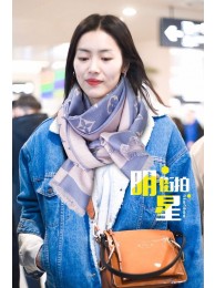 Louis Vuitton Scarf LV00064 HY18619Yv36