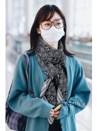 Louis Vuitton Scarf LV00103 HY16768hI90