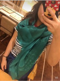 Louis Vuitton Scarf LV00112 Scarf HY23848lq41
