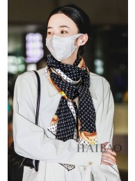 Louis Vuitton Scarf LVS00022 Scarf HY21771zd34