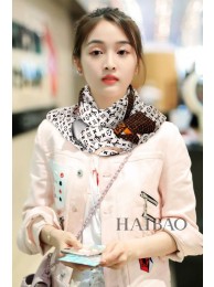 Louis Vuitton Scarf LVS00027 Scarf HY18860hT91