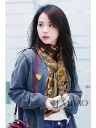 Louis Vuitton Scarf LVS00037 HY17722Yr55