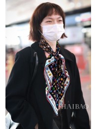 Louis Vuitton Scarf LVS00063 HY1756kC27