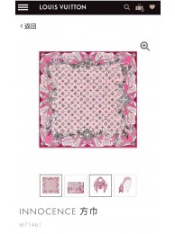 Louis Vuitton Scarf LVS00099 HY9380ki86