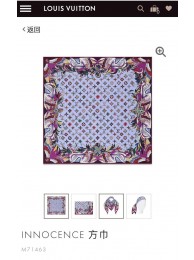 Louis Vuitton Scarf LVS00100 HY1664VI95