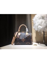 Louis Vuitton SPEEDY 25 M41111 HY21514Zf62