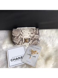 Luxury Chanel Mini Flap Bag Python & Gold-Tone Metal A69900 grey HY14519Lv15