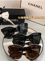 Replica Chanel Sunglasses Top Quality CHS02308 Sunglasses HY2903Vi77