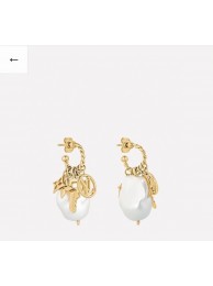 Replica Louis Vuitton Earrings CE6967 HY76Sf59