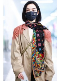 Replica Louis Vuitton Scarf LVS00039 Scarf HY22679Jw87