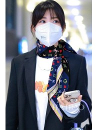 Replica Louis Vuitton Scarf LVS00076 Scarf HY16696cK54