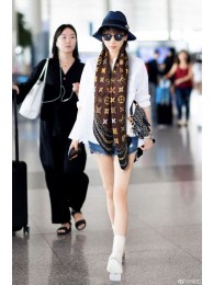 Replica Louis Vuitton Scarf LVS00118 HY13005VA65